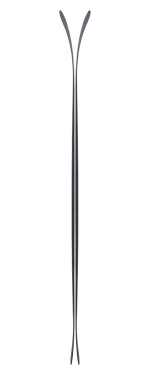 Горные лыжи FISCHER RANGER 90 (A17222:1:::177)