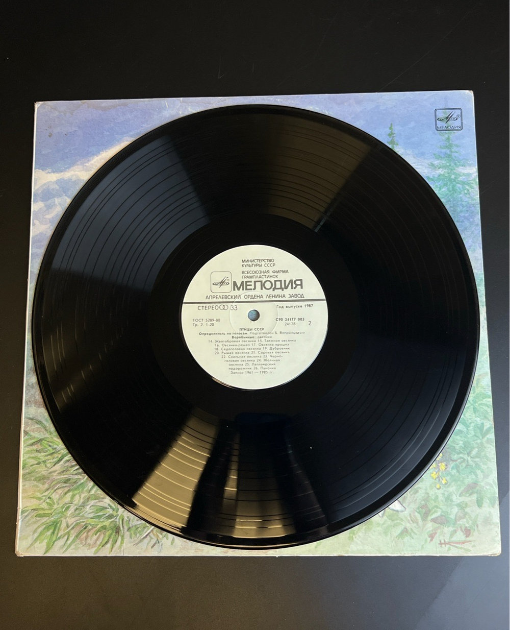LP Птицы СССР. Определитель По Голосам Кулики: Веретенники, Плавунчики, Песочники. Виниловая пластинка 12 дюймов. Мелодия СССР 1986 год.