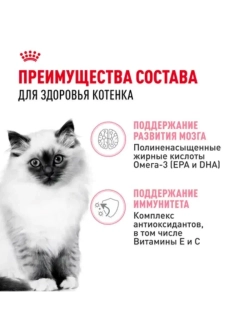 KITTEN Корм для котят в желе 28шт*85г