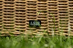 "Эспрессо–150 N" обеденная группа плетеная, цвет соломенный