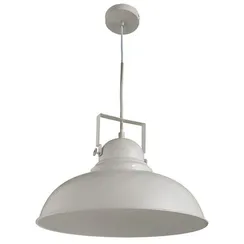 Подвесной светильник Martin A5213SP-1WG Arte Lamp