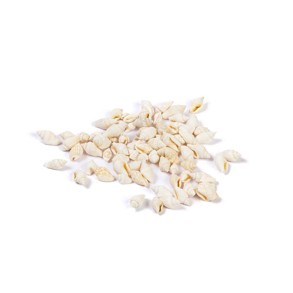 Ракушки декоративные 100 г, ± 5 г, 1.2 см, Nassa Cooked (White), Zlatka DRF-008