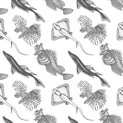 Marine animals seamless pattern. Outline, hand drawing. Isolate on a white background.