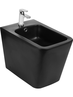 Биде напольное  черный матовый WeltWasser WW GELBACH 003 MT-BL  10000003746 черный матовый