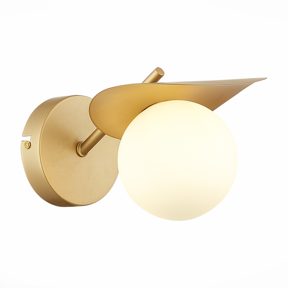 Светильник настенный Evoluce Bolzano SLE220501-01
