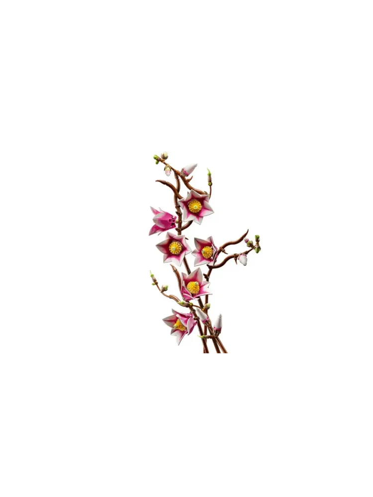 Конструктор Botanicals 11510 Ветви магнолии