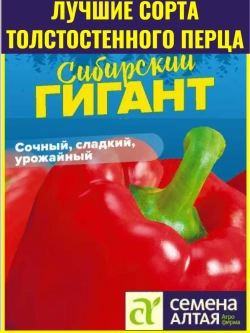 Семена толстостенного перца Сибирский Гигант F1 - 5 шт