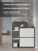 Обувница в прихожую тумба закрытая с полками