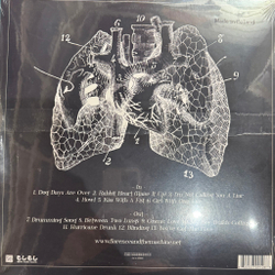 Виниловая пластинка Florence + The Machine ‎– Lungs LP