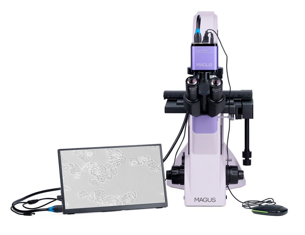 Микроскоп биологический инвертированный цифровой MAGUS Bio VD350 LCD