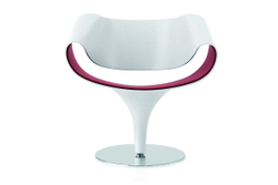 Perillo PR 081