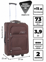 RION+ 422BRW — инфографика