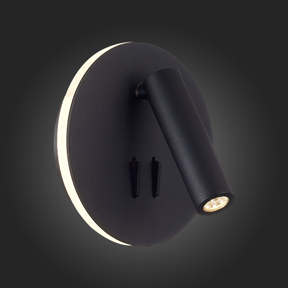 Светильник настенный ST Luce SL1586.413.01