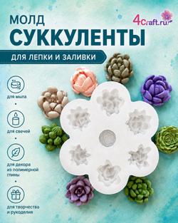 Молд Суккулент семицветик