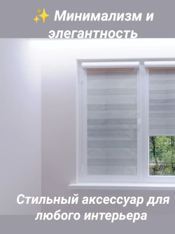 Рулонные шторы День-Ночь 60×170 см
