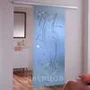 Фото стеклянной раздвижной двери Дельфин в интерьере