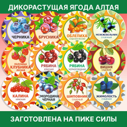 Лист толокнянки. Крафтовая упаковка.