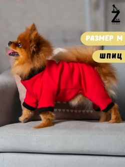 Комбинезон для собак кошек сфинкс кофта костюм для животных