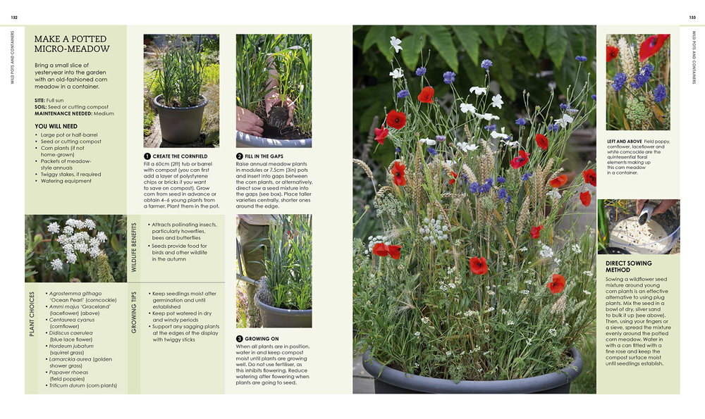 New Wild Garden: Natural-Style Planting and Practicalities
