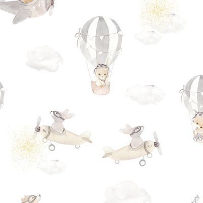 Воздухоплаватели на белом