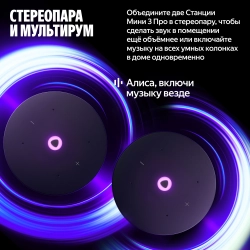 Умная колонка Yandex Станция Мини 3 Про Алиса черный 18W 1.0 BT/Wi-Fi (YNDX-00059BLK)