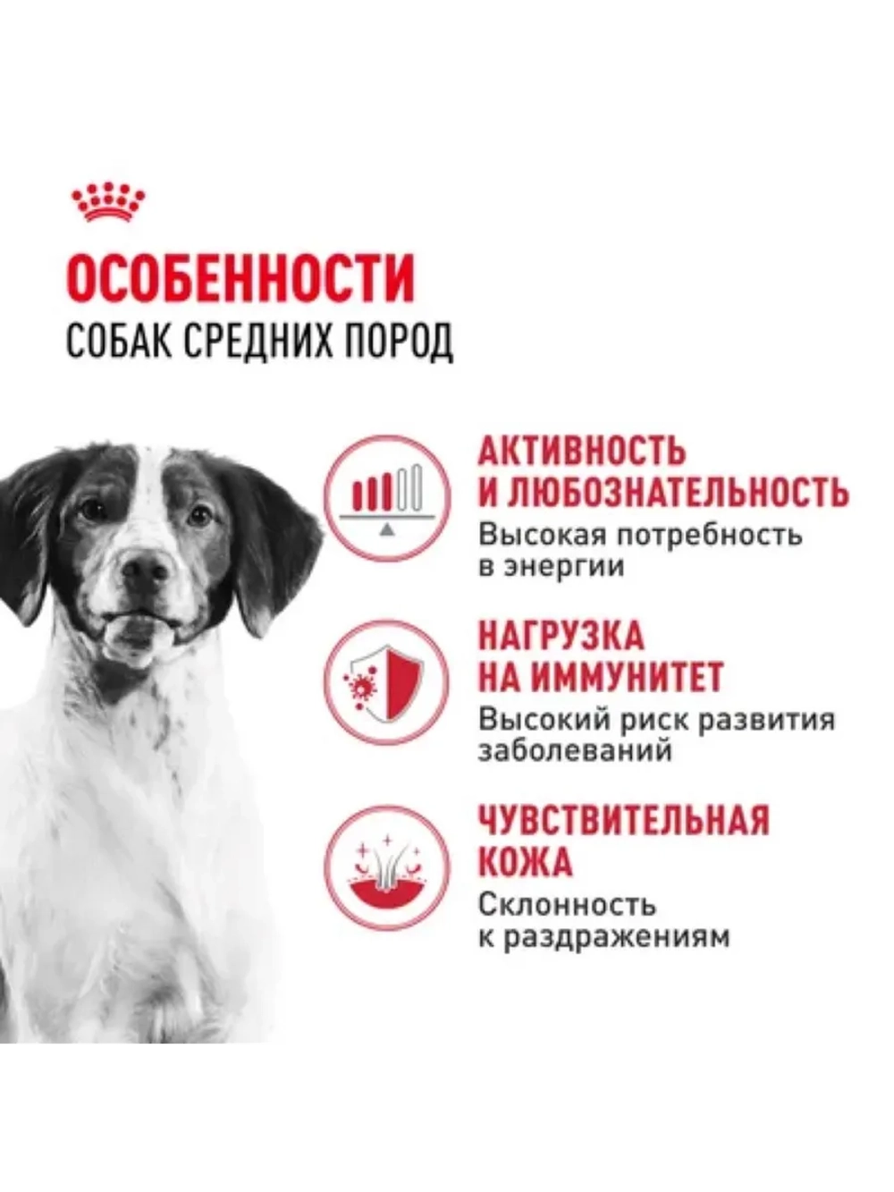 Medium Adult Корм для собак 3кг