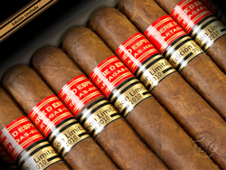 Partagas Serie D Especial Edicion Limitada 2010