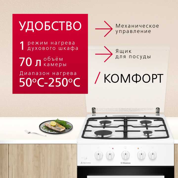 Газовая плита Hansa FCGW530253H