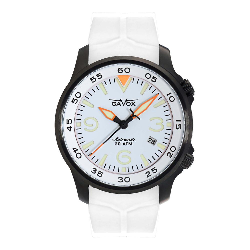 Gavox AviDiver (Winter White PVD) (white strap)