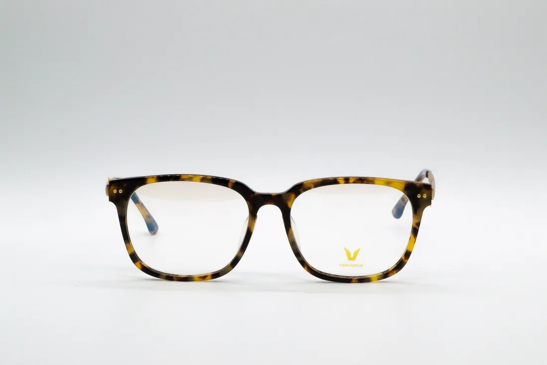 Изг. оправы V-Pai optical V-3010 С2