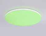 Накладной светильник Ambrella Light FZ FZ2001
