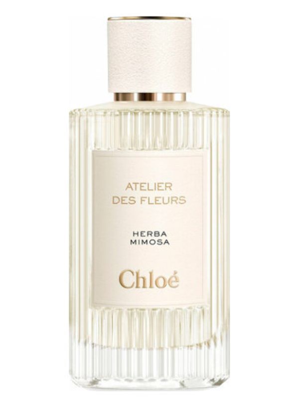 Chloe Herba Mimosa