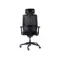 GTChair InFlex Z Black