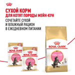 Royal Canin Maine Coon Kitten Мейн Кун Киттен Корм влажный для котят породы Мэйн Кун в возрасте до 15 месяцев соус 85г