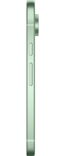 Смартфон Google Pixel 9 256 ГБ Зимний зеленый Wintergreen