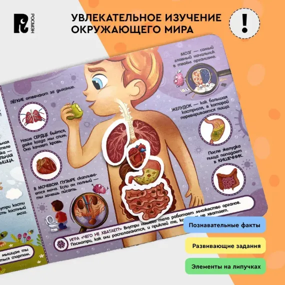 Тело человека. Книга с липучками