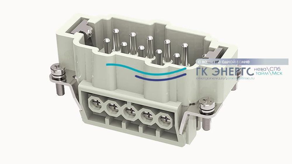 DE-010-FS