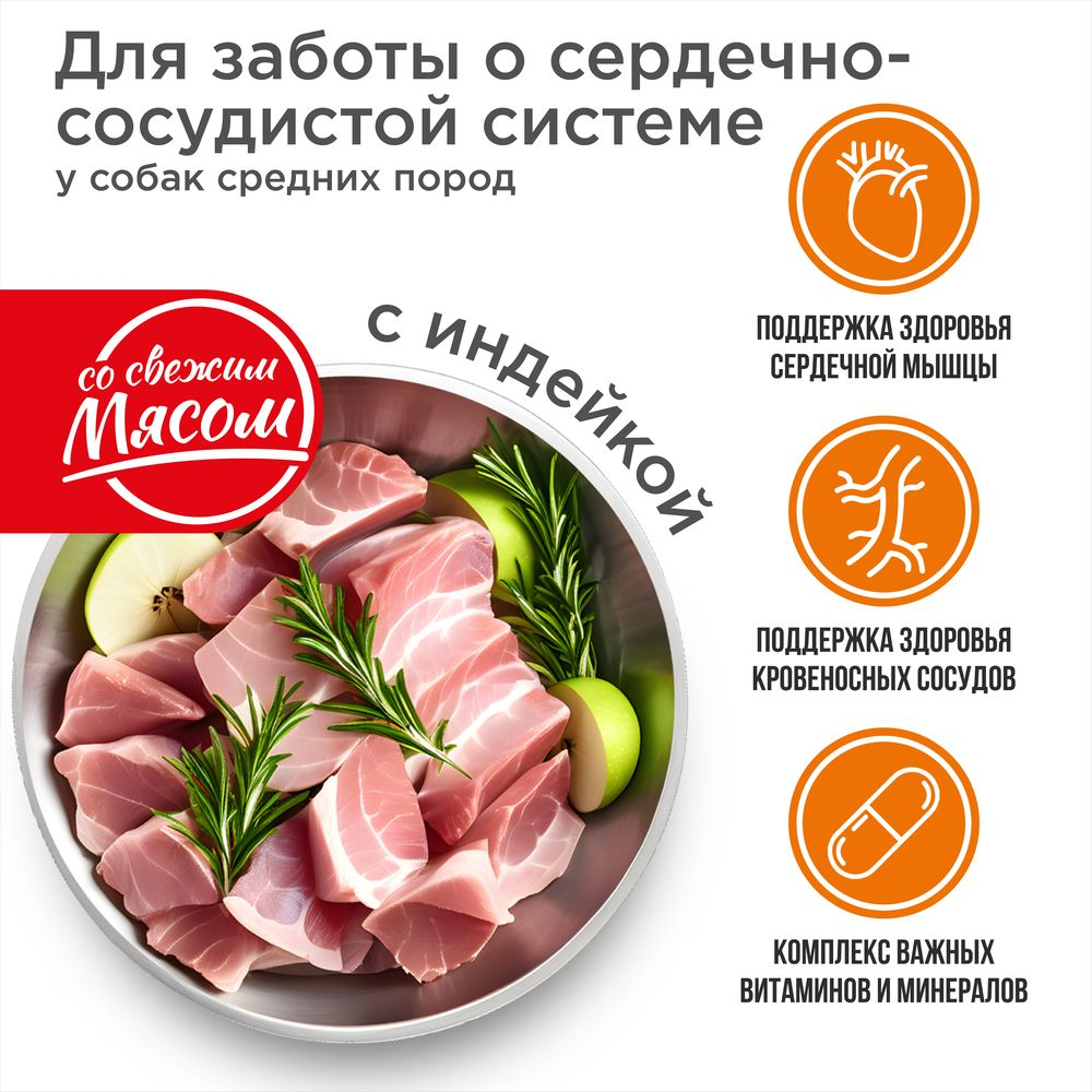 Корм сухой для взрослых собак средних пород, премиум полнорационный комплекс, забота о сердце и сосудах, с индейкой, 2,5 кг, QUATTRO