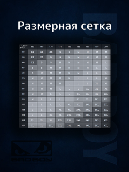 Футболка Bad Boy WorldWide 2.0 черная