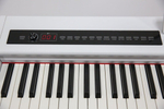 Pierre Cesar M430D