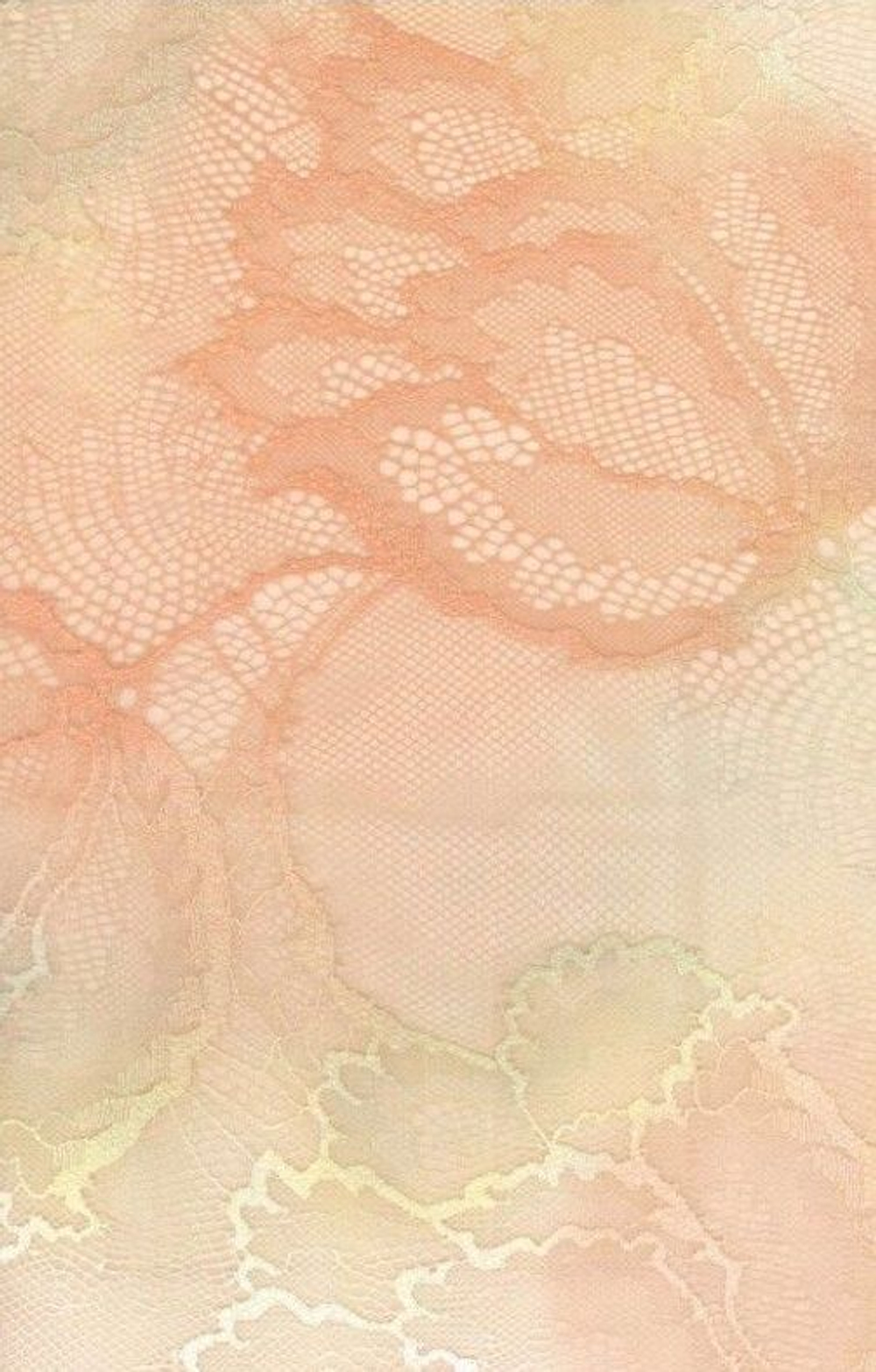 Бюстгальтер-бралетт Loretto из двухцветного кружева (Размер: 80E) (Цвет: персиковый)