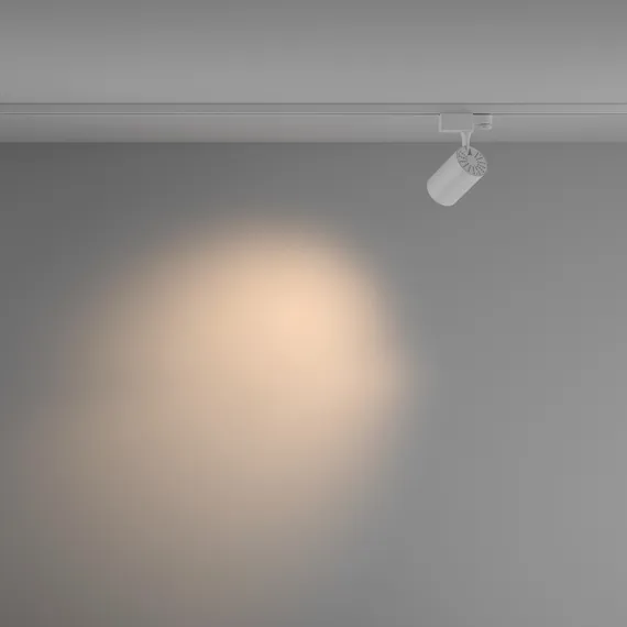 Трековый светильник Vuoro TR029-3-10W3K-M-W Maytoni