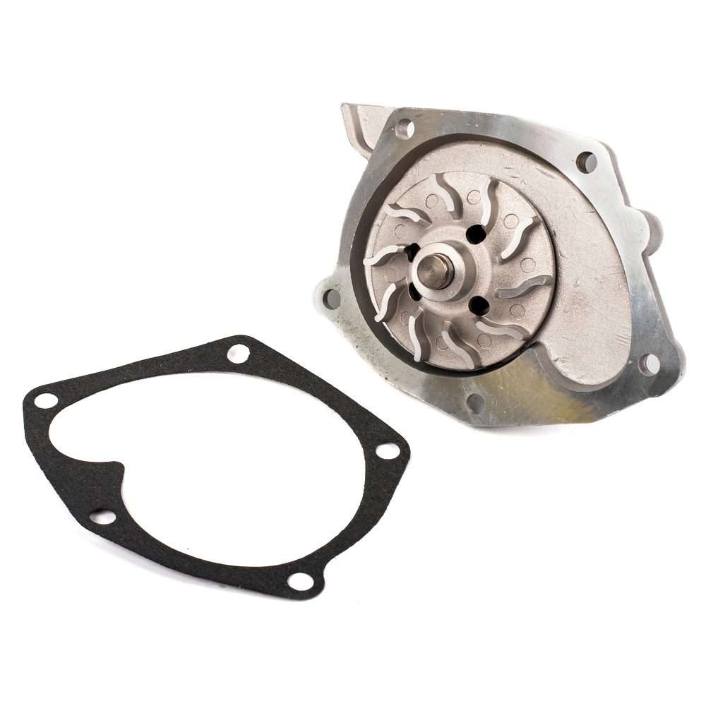 Помпа, водяной насос RENAULT Megane/Laguna/Trafic 1.8/2.0L+1.9DCI 01 GANZ GIF02039