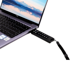 Флешка с аппаратным шифрованием DataLock PRO4 128 Gb USB 3.2