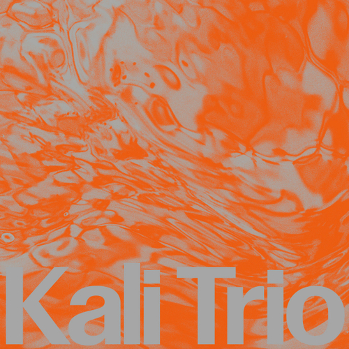 Kali Trio - Playful Abstract - Ronin Rhythm Productions