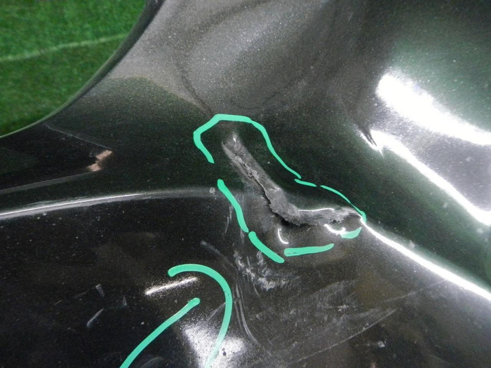 DSCN9571.JPG