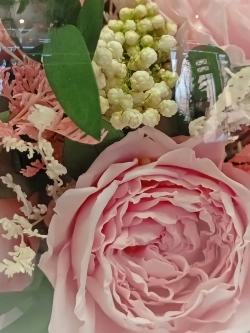 натуральные пионы в стекле, вакуум