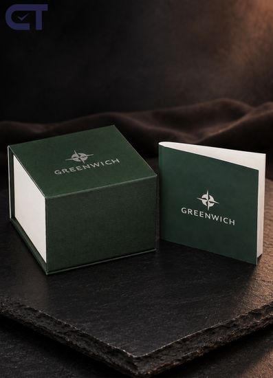 Greenwich GW 564.10.15 часы наручные мужские — механика с автоподзаводом в прямоугольном стальном корпусе