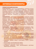 Мармелад на пектине без сахара Пробиогам со вкусом абрикоса На пектине, без сахара, обогащенный пребиотиками, метабиотиками 18 штаммов полезных бактерий и комбучей