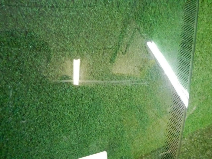 DSCN9660.jpg